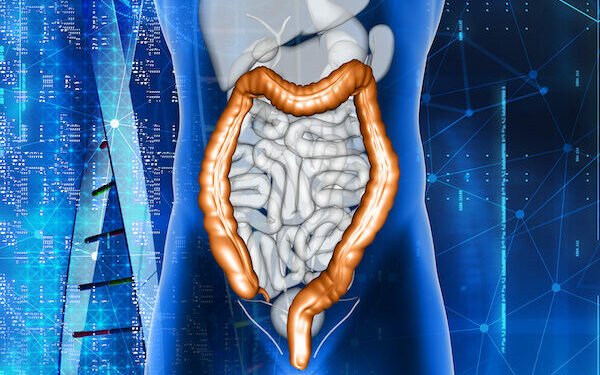 3D male medical figure with colon highlighted